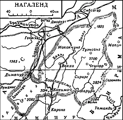 Нагаленд Наган Наганревольвер системы бельгийского оружейника Нагана - фото 32
