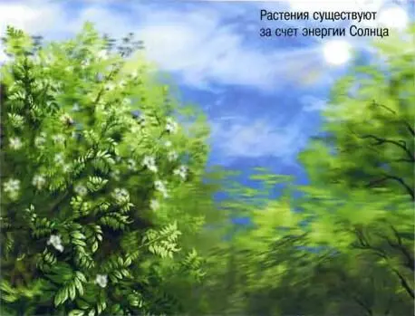 В конце XX века люди стали разрабатывать приемы позволяющие улавливать - фото 15