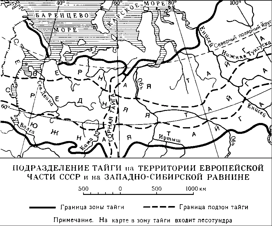 Подразделение тайги на территории европейской части СССР и на ЗападноСибирской - фото 189