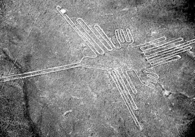 Геоглиф колибри с плато Наска На одном из камней Ики имеется этот рисунок - фото 18