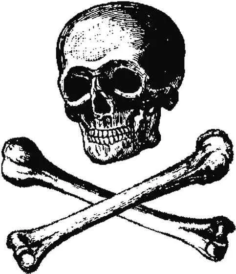 Memento mori помни о смерти Тайная организация Череп и кости долгие - фото 47