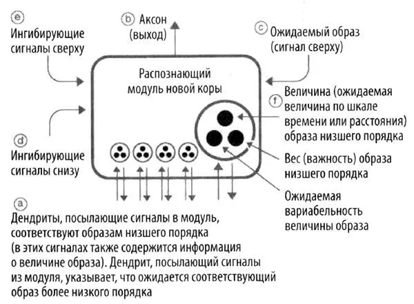 Каждый образ распознаваемый одним из примерно 300 млн распознающих модулей - фото 7