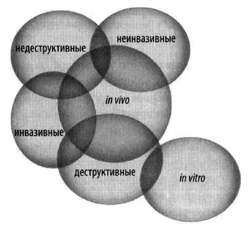 Диаграмма ЭйлераВенна для методов изучения головного мозга Деструктивные - фото 67