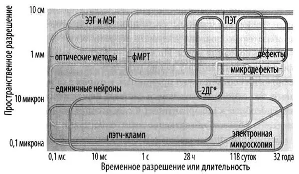 Устройства для визуализации головного мозга 2ДГ 2Дезоксиглюкоза - фото 68