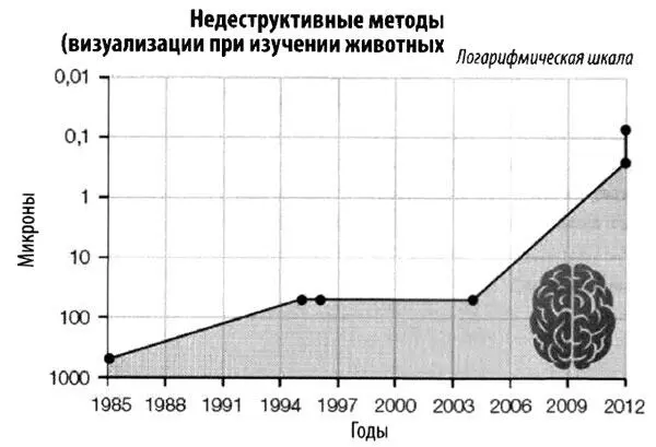 Глава одиннадцатая Критика Если машина окажется неотличима от человека нам - фото 71