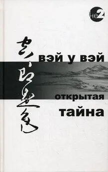 Вэй Вэй - Открытая тайна