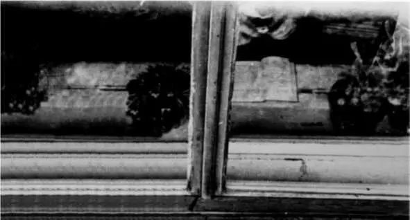 Пеньковский в окружении цветочных горшков готовится фотографировать Миноксом - фото 91