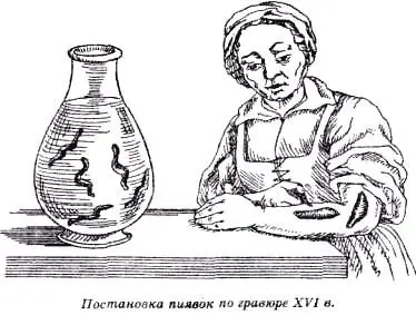 В первой половине XIX столетия происходит другое значимое событие в истории - фото 19