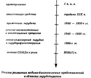 Поскольку одним из главных мест обитания медицинских пиявок в пределах южной - фото 21