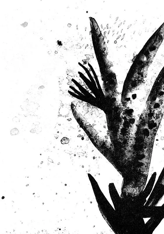 Часть вторая Совы и короли Рухлядь и невзгоды Нам всегда нравились первые - фото 41