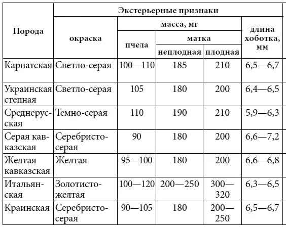 СреднерусскаяВесеннее развитие пчел начинается позже чем у других пород но - фото 13