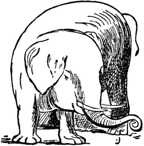 E E was an elephant Stately and wise He had tusks and a trunk And two - фото 192