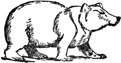 B B was once a little bear Beary Wary Hairy Beary Taky cary Little - фото 215