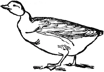 G G was once a little goose Goosy Moosy Boosey Goosey Waddlywoosy - фото 220