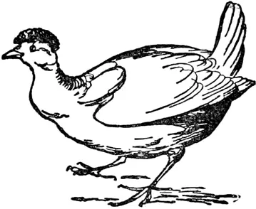 H H was once a little hen Henny Chenny Tenny Henny Eggsyny Little hen - фото 221