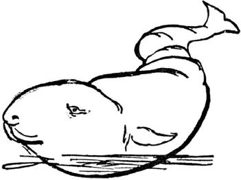W W was once a whale Whaly Scaly Shaly Whaly Tumblytaily Mighty - фото 236