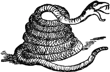 R R was a rattlesnake Rolled up so tight Those who saw him ran quickly - фото 257