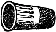 T T was a thimble Of silver so bright When placed on the finger It - фото 259