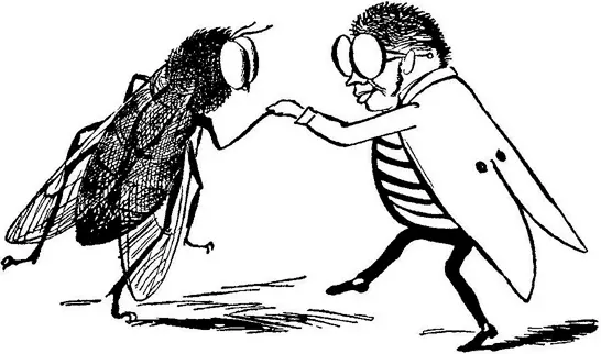 There was an old person of Skye Who waltzd with a Bluebottle fly They - фото 327