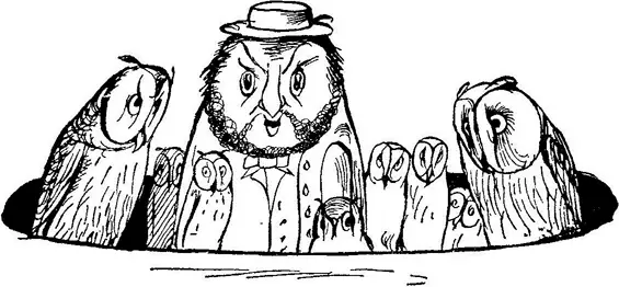 There was an old person of Crowle Who lived in the nest of an owl When they - фото 339