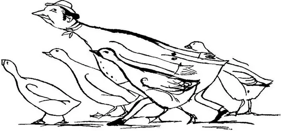 There was an old person of Nice Whose associates were usually Geese They - фото 346