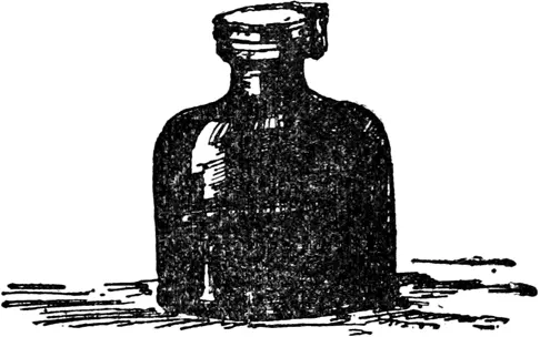 I I was an Inkstand new Papa he likes to use it He keeps it in his pocket - фото 432
