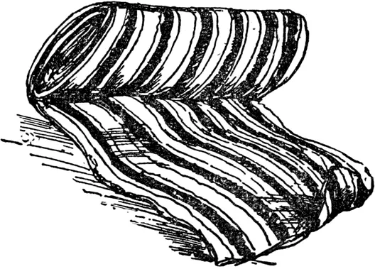 R R was a Railway Rug Extremely large and warm Papa he wrapped it round his - фото 441