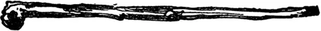 S S was Papas new Stick Papas new thumping Stick To thump extremely - фото 442
