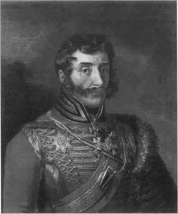 ИС Дорохов 17621815 Причина такого поведения главнокомандующего могла - фото 54