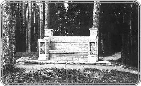Каменная скамья в Шуваловском парке В 1896 г известный садовник АЭ Регель - фото 99