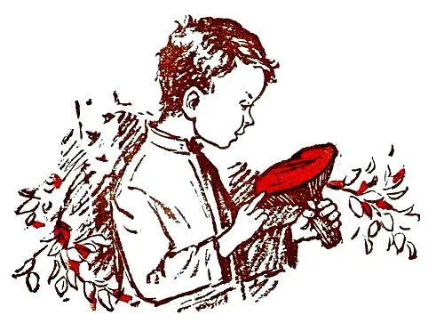 ВОЛШЕБНАЯ КОЗОЧКА Дом в котором жил Вася стоял на краю села С высокого - фото 12