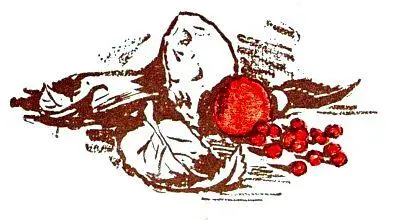 ШЕСТЬ ПАЛЬЦЕВ К нам заехал мой старый товарищ Возвращался он из дальней - фото 13