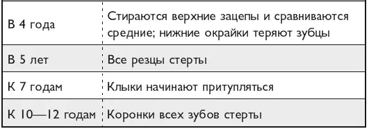 Из этой таблицы следует что в среднем собаки живут до 12 лет и редко достигают - фото 27