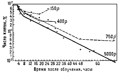 Рис 1 Влияние дозы облучения на число и сроки выживания клеток костного - фото 58