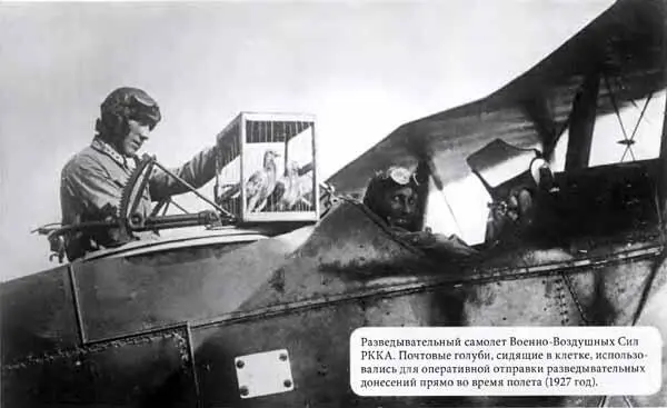 Разведывательный самолет ВоенноВоздушных Сил РККА Почтовые голуби сидящие в - фото 9