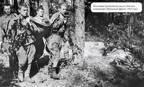 Полковые разведчики несут убитого командира Брянский фронт 1943 год - фото 21