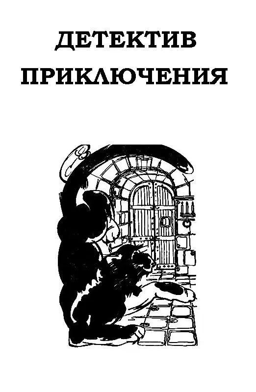ДЕТЕКТИВ ПРИКЛЮЧЕНИЯ БРАЗИЛЬСКИЙ КОТ Вообразите мое положение молодой - фото 3
