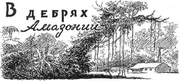 Про служебное повышение Мортона в Институте тропической медицины сказали - фото 3