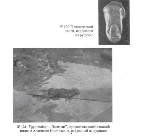 Следователь НА Соколов осматривает одно из кострищ рудника Шах - фото 41