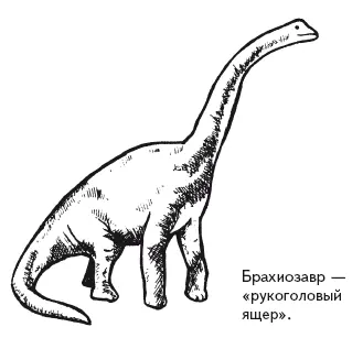 Плиты земной коры продолжают движение и сейчас Если гдето происходят - фото 41