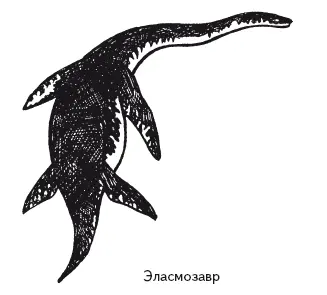 В морях мезозойского периода не было айсбергов Динозавров в них тоже не было - фото 46
