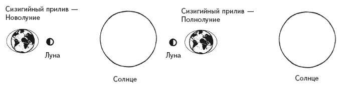 Вода более подвижна чем суша но в действительности вся наша планета находится - фото 120