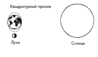 Астрономия наука о звёздах Астрономия этоне астрология Астрология это - фото 121