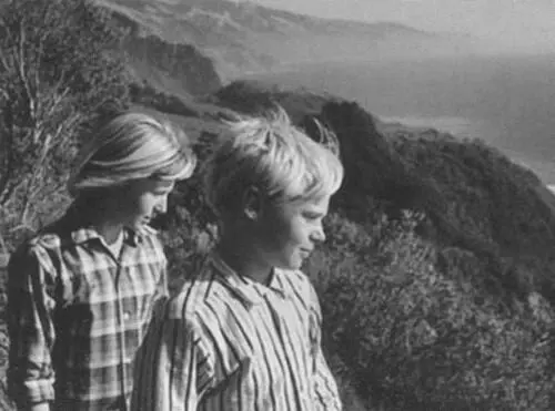 Вэлентайн и Генри Тони Миллер БигСур Ив Макклур 1950е гг - фото 38