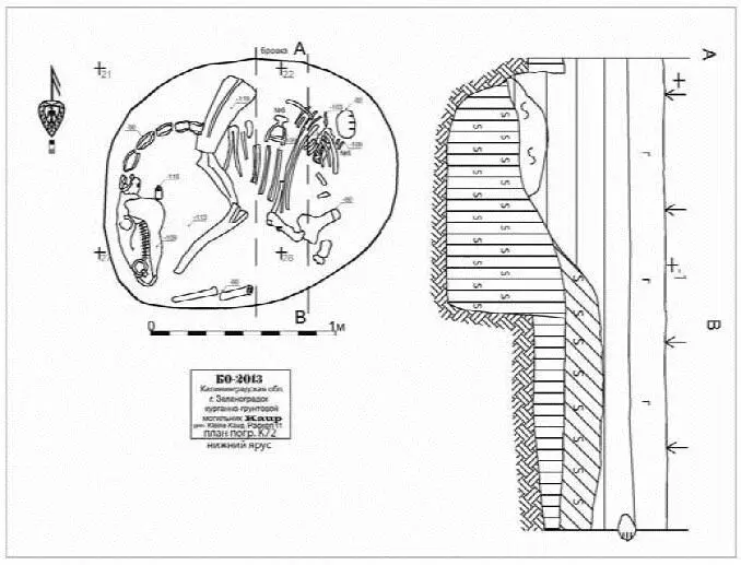 Рис 112 План погр К72 Рис 113 Череп пса из погр К72 В нижнем ярусе - фото 111