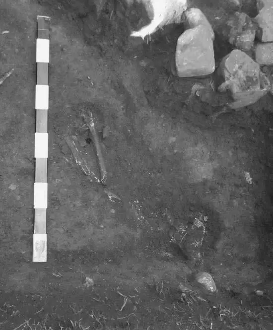 Рис 128 Зачистка погр К8о Вид с юга Погр К81 Р 12 кв 27 вошло в - фото 127