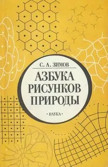 Сергей Зимов - Азбука рисунков природы