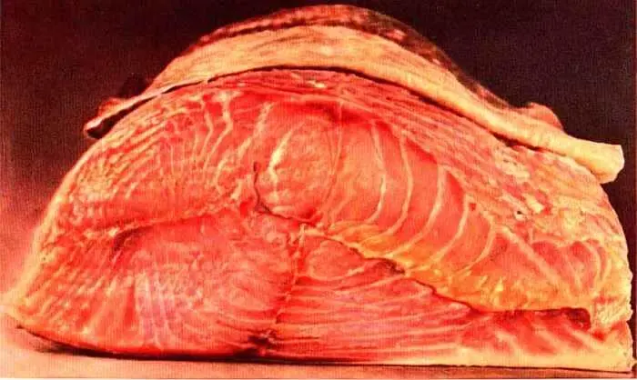 Бутерброды закрытые Закрытые бутерброды делают с теми же продуктами что и - фото 41