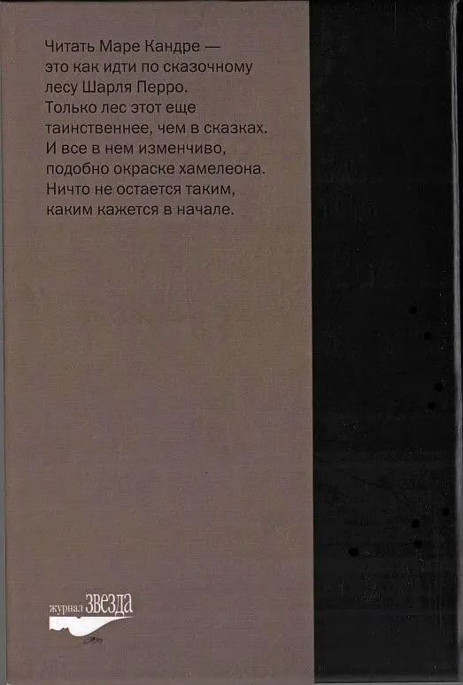 Женщина и доктор Дрейф - фото 18