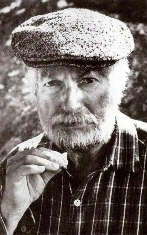 Еще один дед Соперницы 1985 г Ансамбль смехомузыкантов Вицин с - фото 39